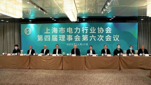 海鄭實(shí)業(yè)再次擔(dān)任上海市電力行業(yè)協(xié)會理事會會議監(jiān)票人